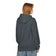 Keystone 250th Hoodie