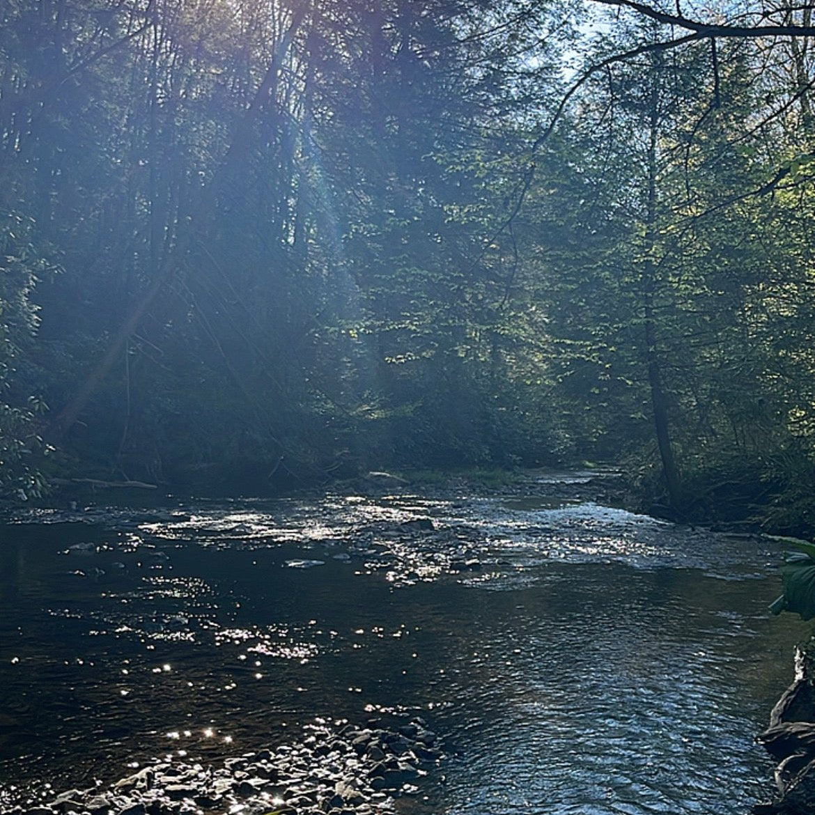 2 Day Water Purification in a Non-Permissive Environment - Level 1 - october 4th and 5th - Oldfields West Virginia.