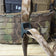 AOR 1 Sling PRE ORDER. May 26th- June 2nd