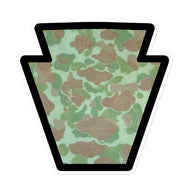 USMC Frog Camo